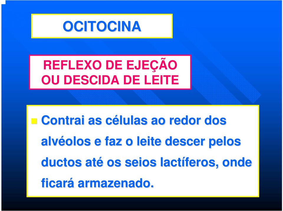 alvéolos e faz o leite descer pelos ductos