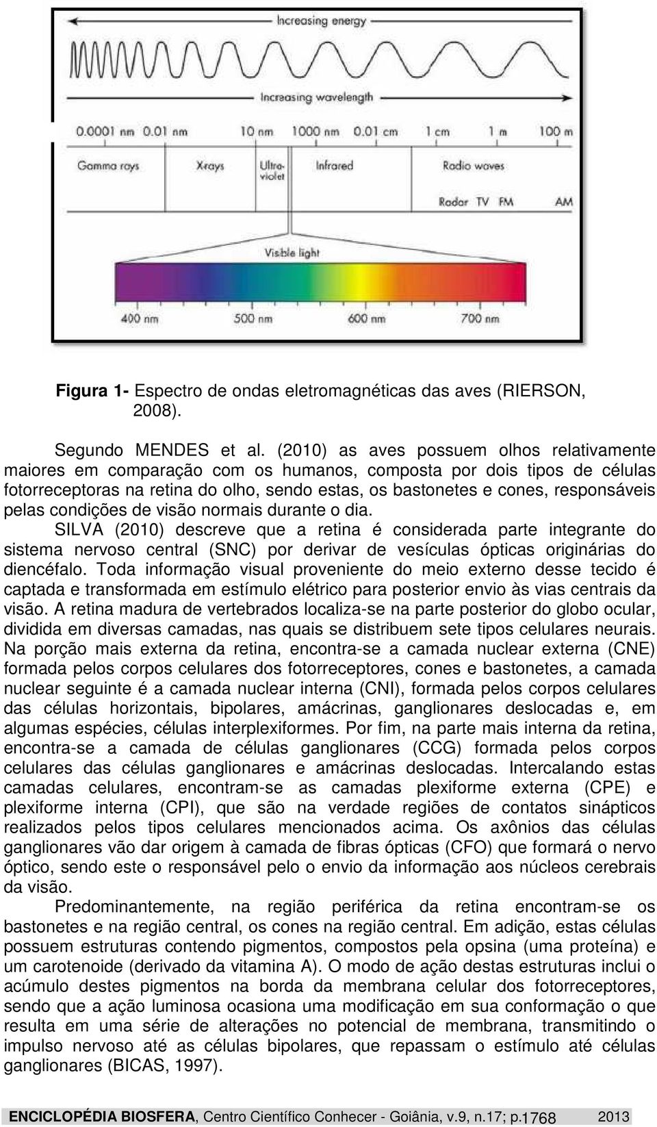 pelas condições de visão normais durante o dia.