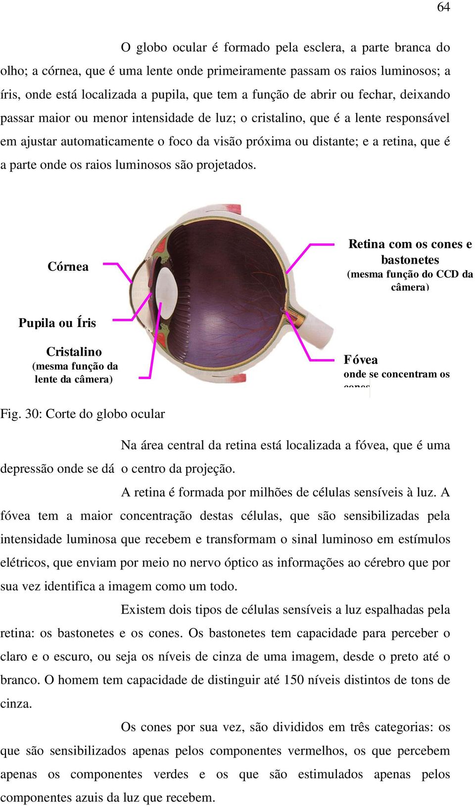 onde os raios luminosos são projetados.