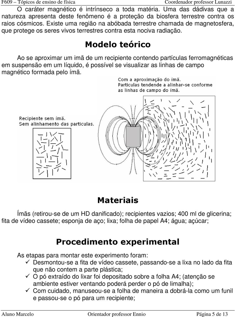 Modelo teórico Ao se aproximar um imã de um recipiente contendo partículas ferromagnéticas em suspensão em um líquido, é possível se visualizar as linhas de campo magnético formada pelo ímã.