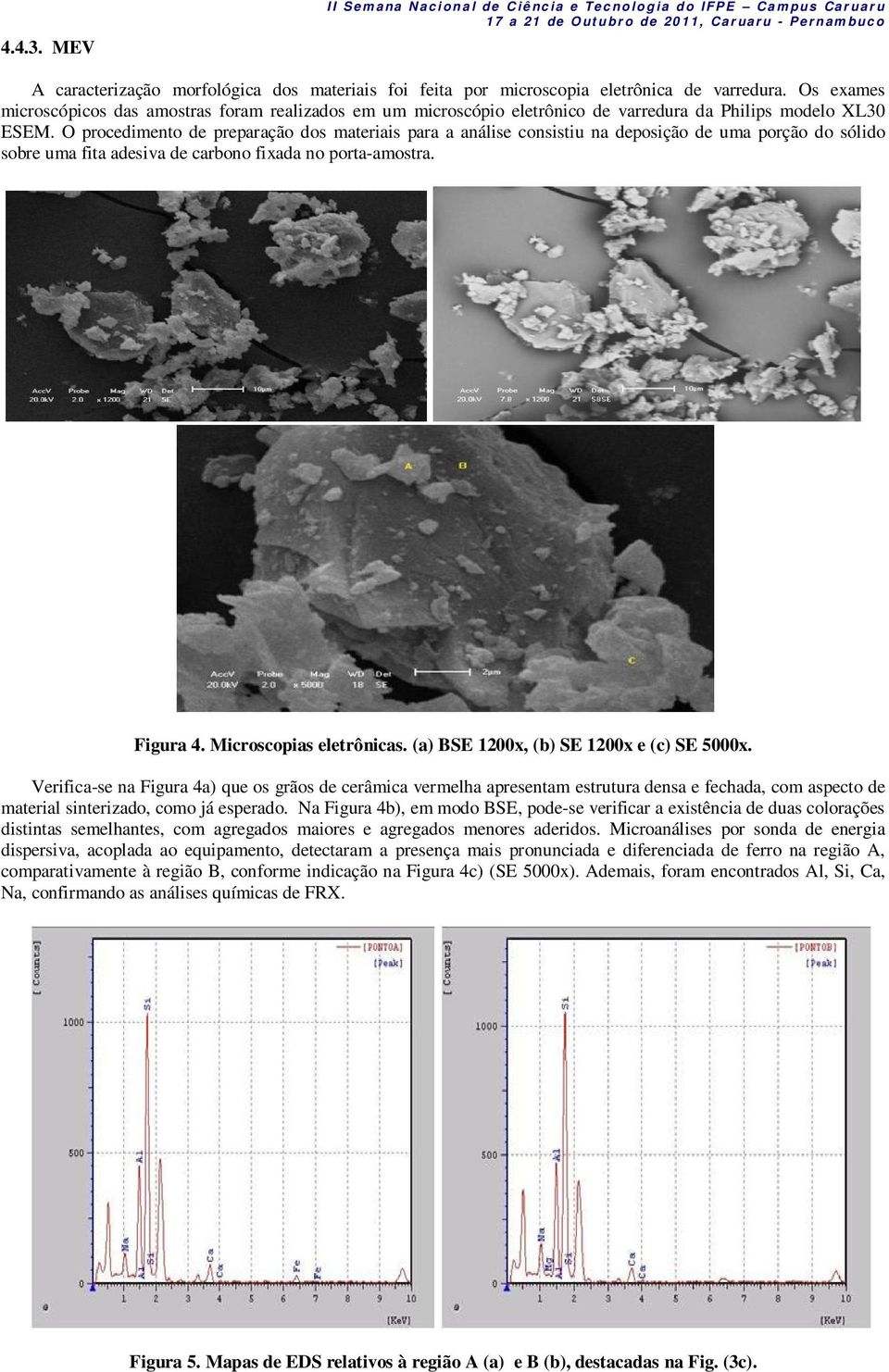 Os exames microscópicos das amostras foram realizados em um microscópio eletrônico de varredura da Philips modelo XL30 ESEM.