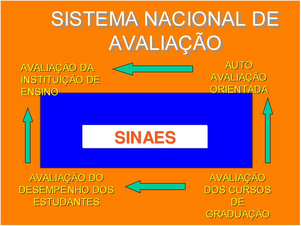 ORIENTADA SINAES AVALIAÇÃO DO DESEMPENHO