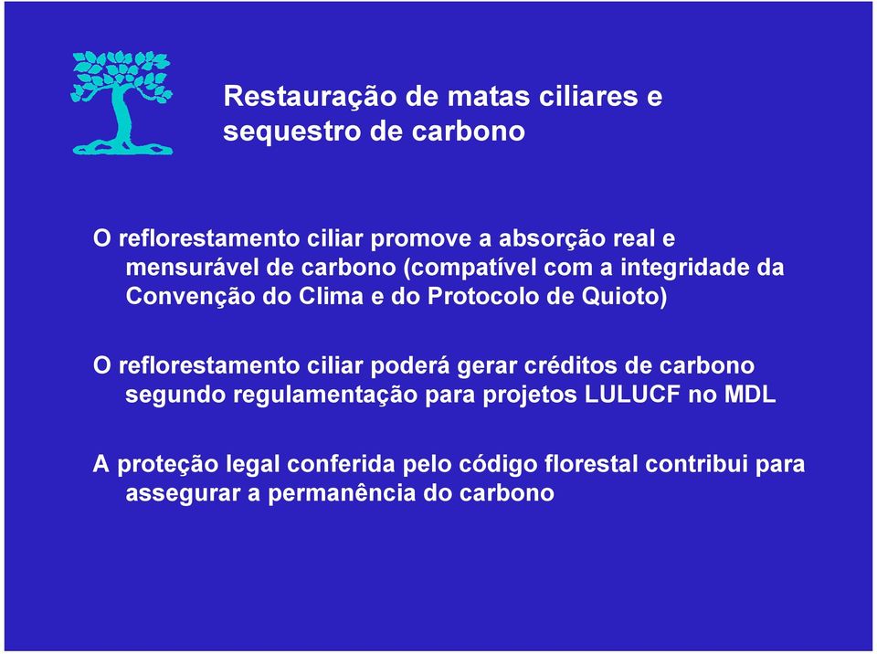 O reflorestamento ciliar poderá gerar créditos de carbono segundo regulamentação para projetos LULUCF
