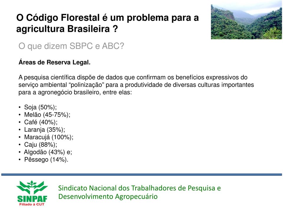 A pesquisa científica dispõe de dados que confirmam os benefícios expressivos do serviço ambiental