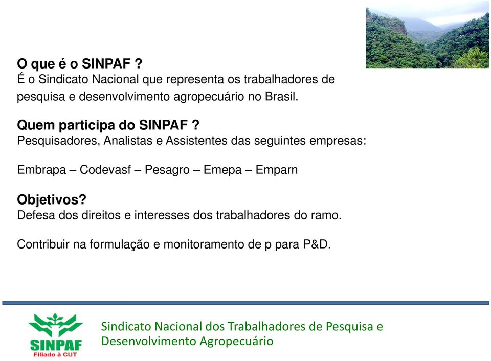 agropecuário no Brasil. Quem participa do SINPAF?