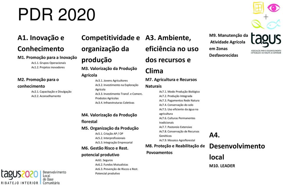 Valorização da Produção florestal M5. Organização da Produção Ac5.1. Criação AP / OP Ac5.2. Interprofissionais Ac5.3. Integração Empresarial M6. Gestão Risco e Rest. potencial produtivo Ac61.