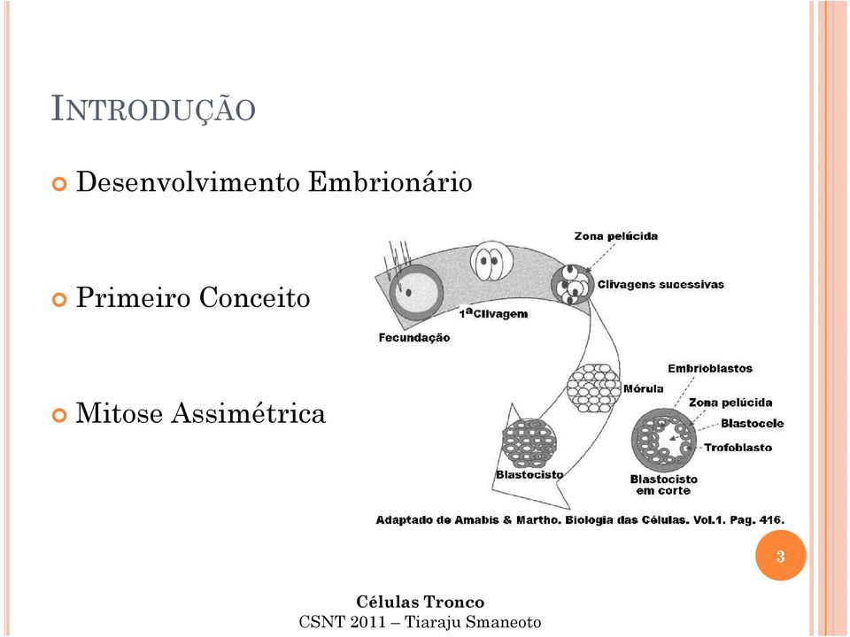 Embrionário