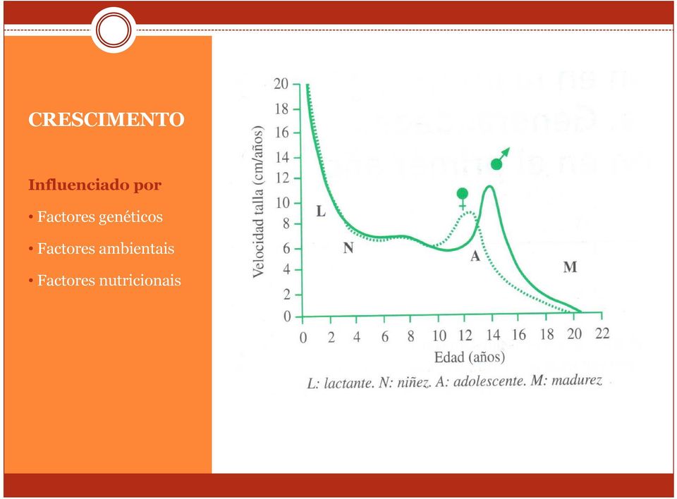 Factores genéticos