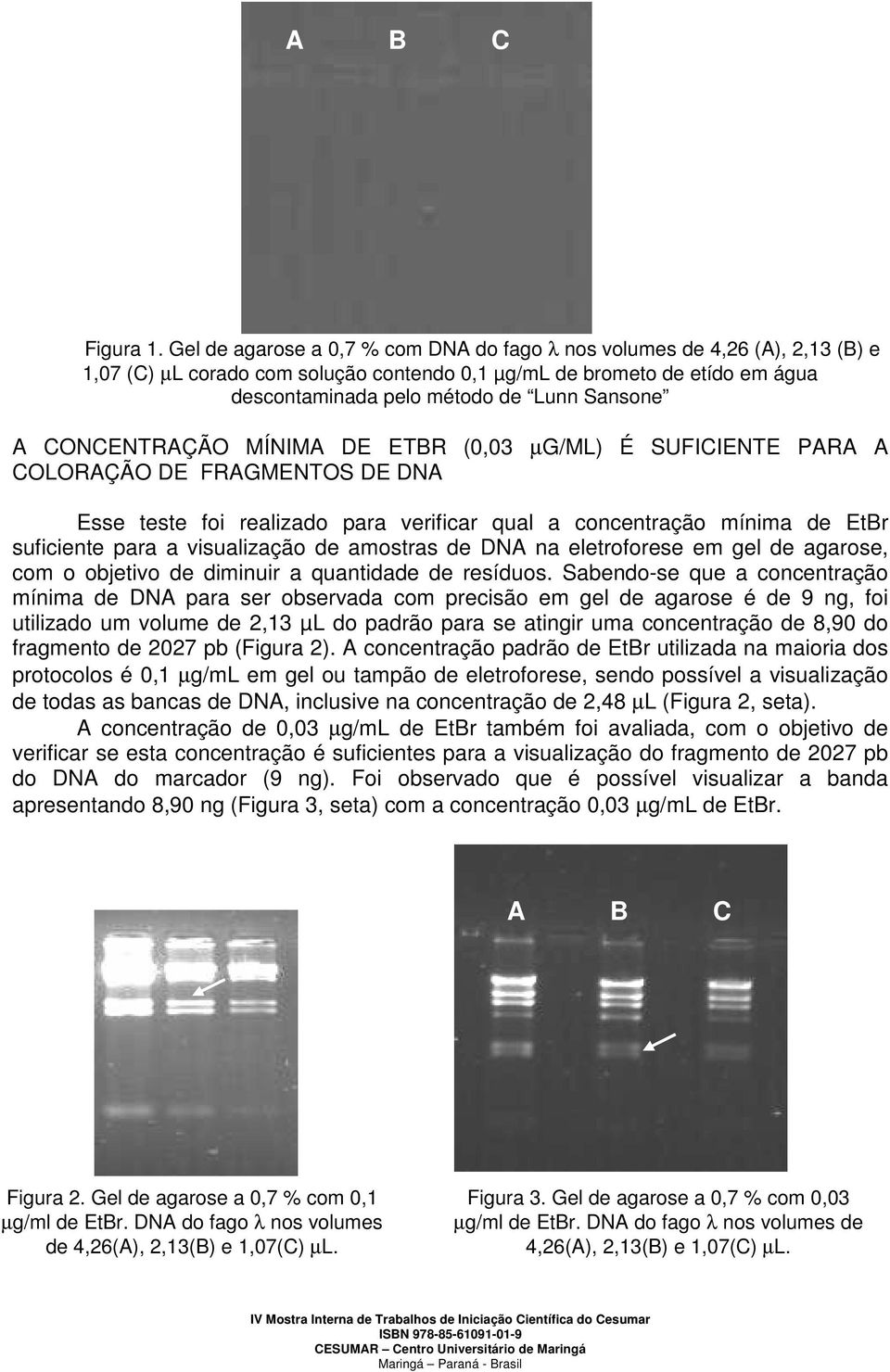 CONCENTRAÇÃO MÍNIMA DE ETBR (0,03 µg/ml) É SUFICIENTE PARA A COLORAÇÃO DE FRAGMENTOS DE DNA Esse teste foi realizado para verificar qual a concentração mínima de EtBr suficiente para a visualização