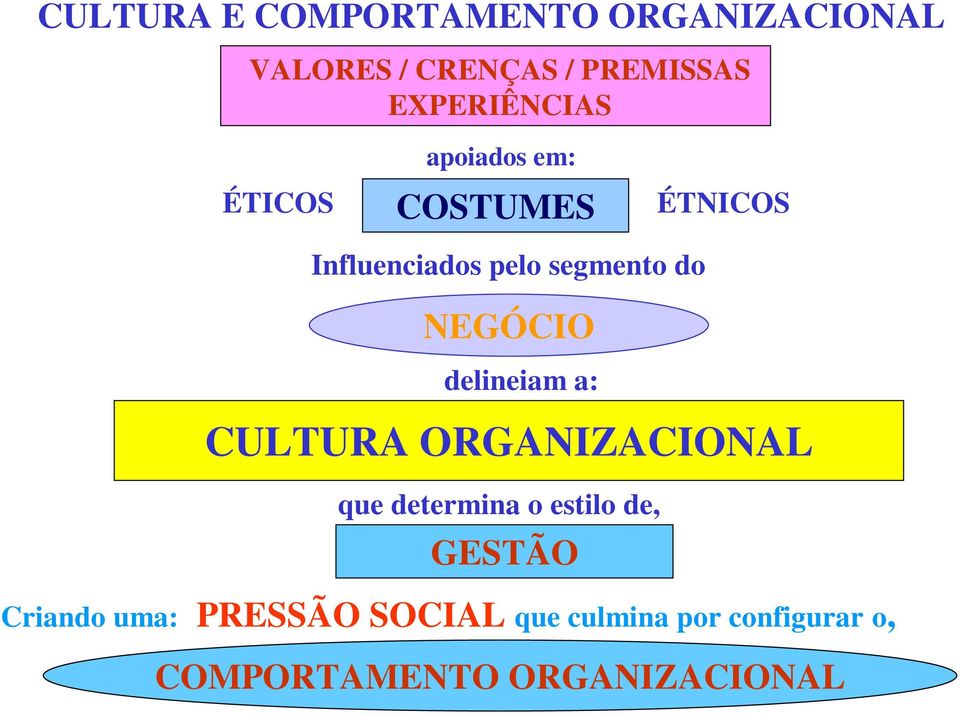 do NEGÓCIO delineiam a: CULTURA ORGANIZACIONAL que determina o estilo de,