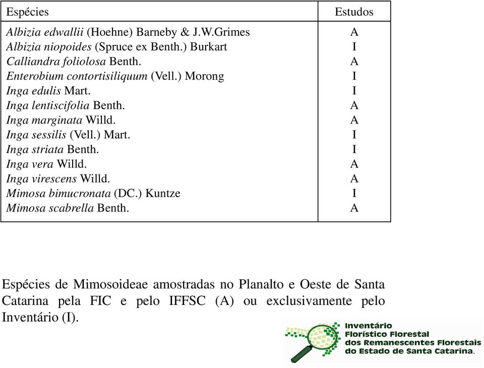 Inga striata Benth. Inga vera Willd. Inga virescens Willd. Mimosa bimucronata (DC.) Kuntze Mimosa scabrella Benth.