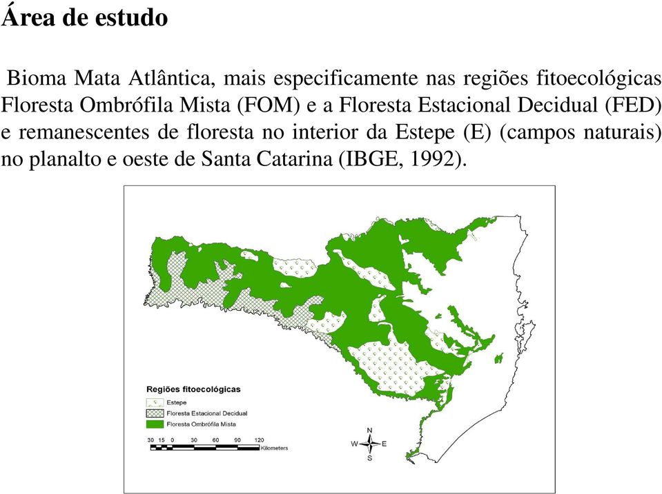 Decidual (FED) e remanescentes de floresta no interior da Estepe (E)