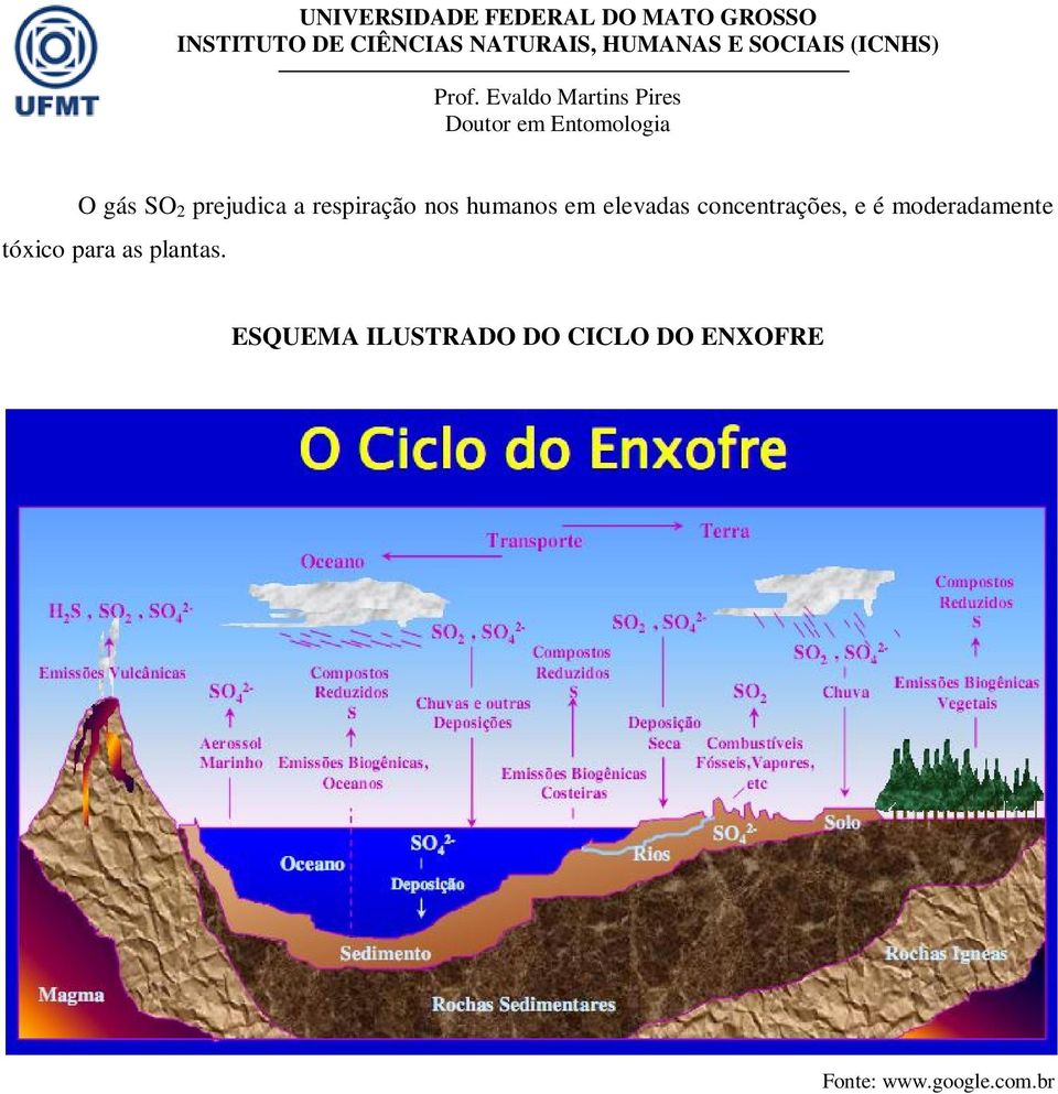 moderadamente tóxico para as plantas.