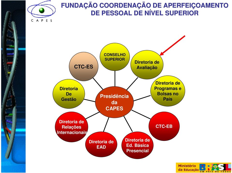 Bolsas no País Diretoria de Relações Internacionais