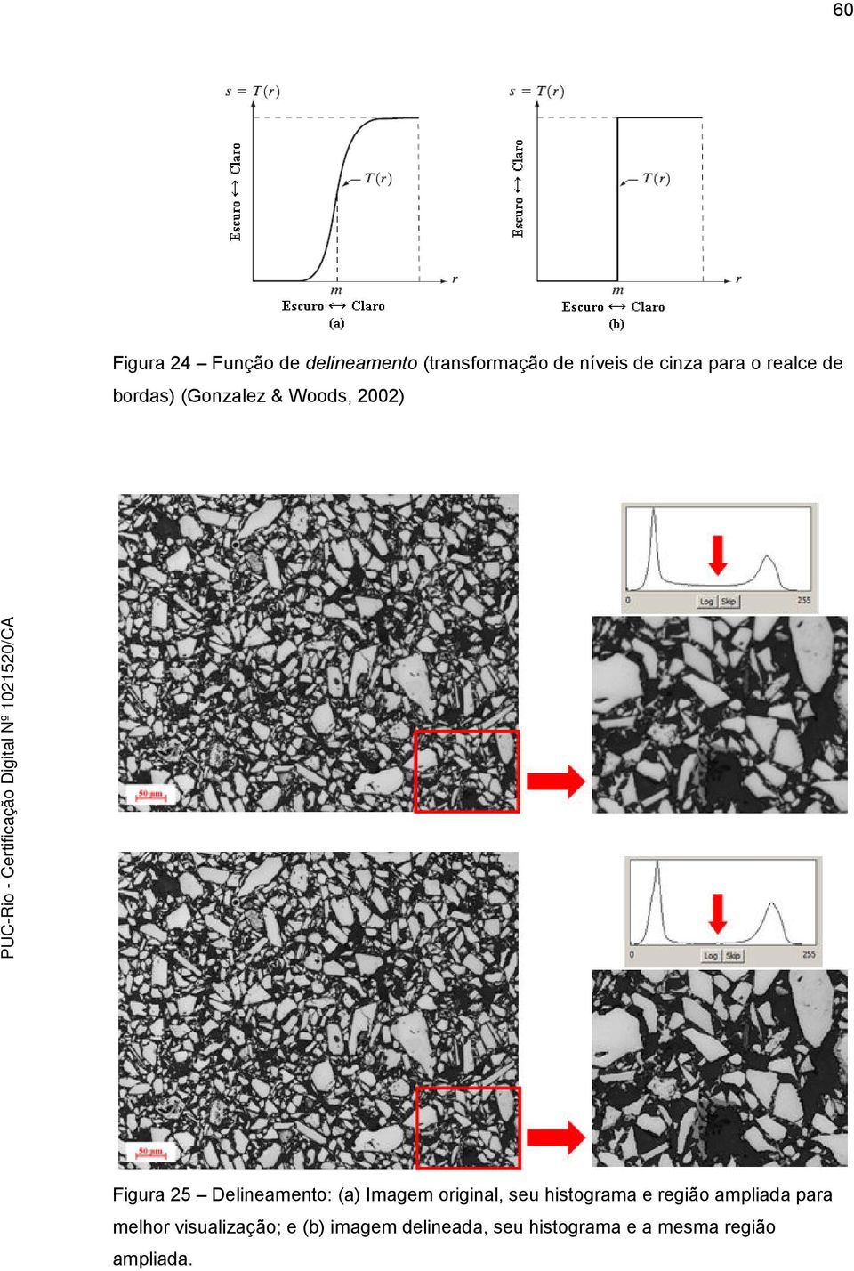 Delineamento: (a) Imagem original, seu histograma e região ampliada para