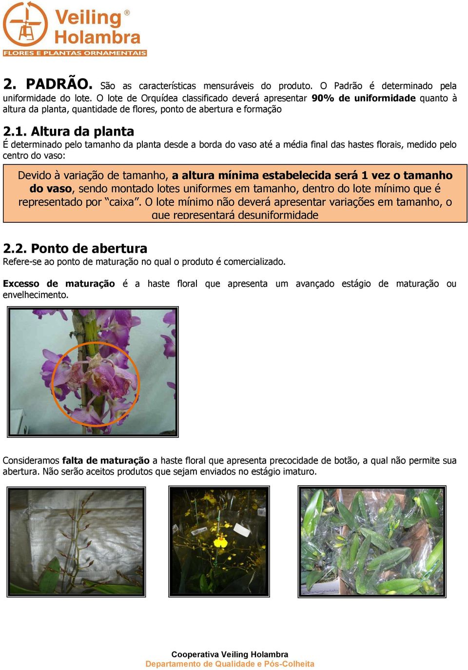 Critério de Classificação Orquídeas Variadas. - PDF Free Download