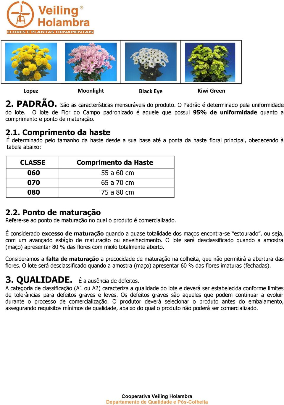 Comprimento da haste É determinado pelo tamanho da haste desde a sua base até a ponta da haste floral principal, obedecendo à tabela abaixo: CLASSE Comprimento da Haste 060 55 a 60 cm 070 65 a 70 cm