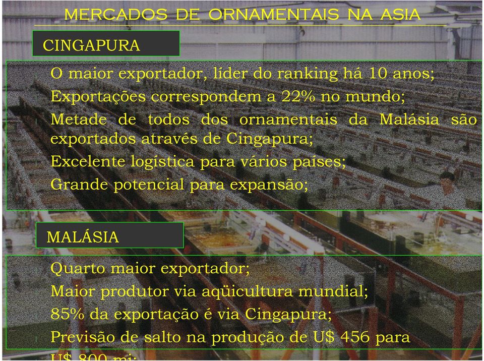 Excelente logística para vários países; Grande potencial para expansão; MALÁSIA l l l l l Quarto maior exportador;