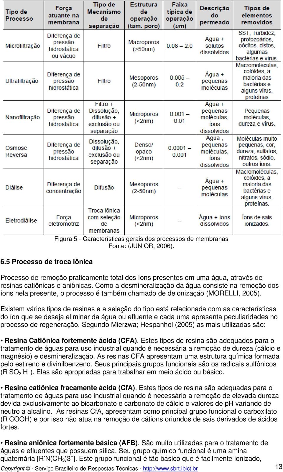 Como a desmineralização da água consiste na remoção dos íons nela presente, o processo é também chamado de deionização (MORELLI, 2005).