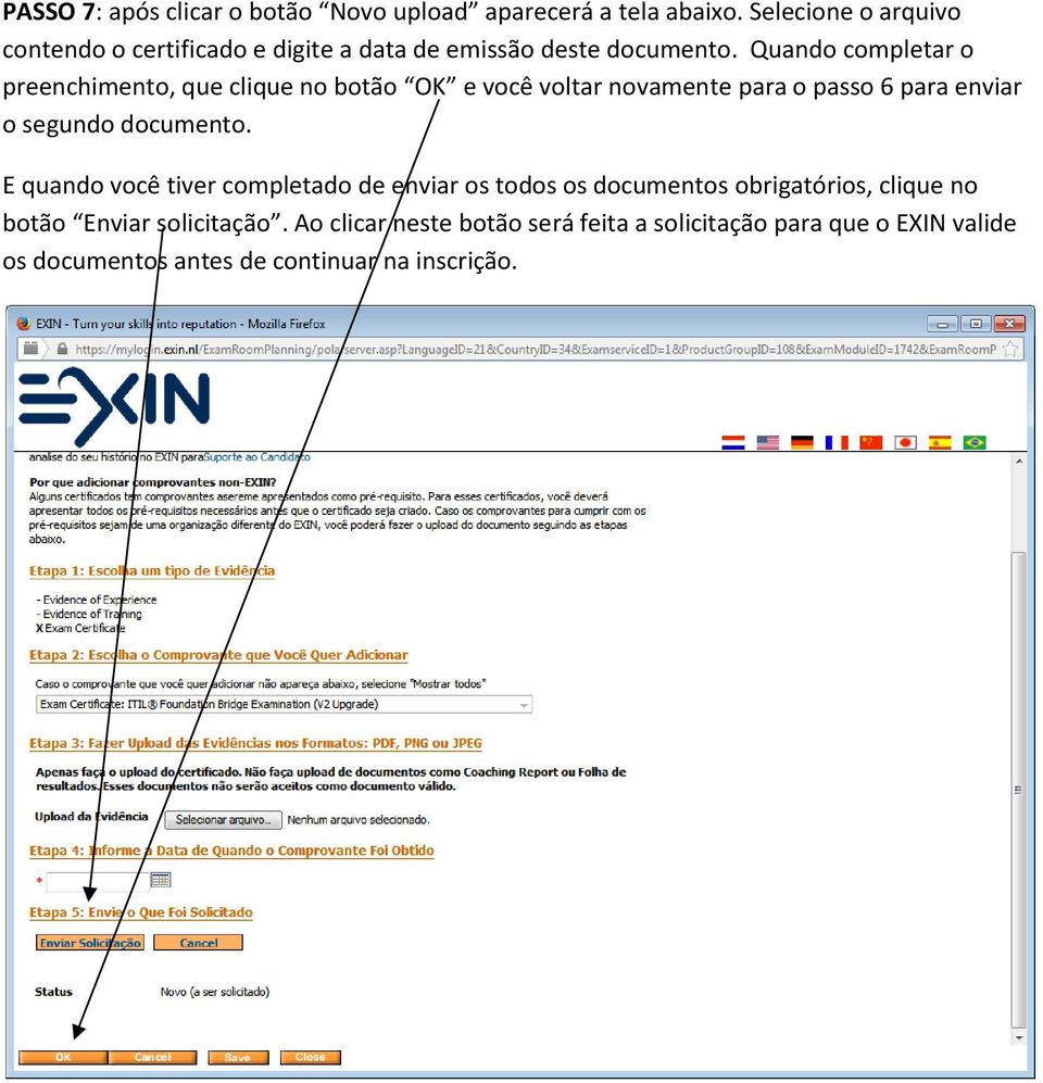 Quando completar o preenchimento, que clique no botão OK e você voltar novamente para o passo 6 para enviar o segundo documento.