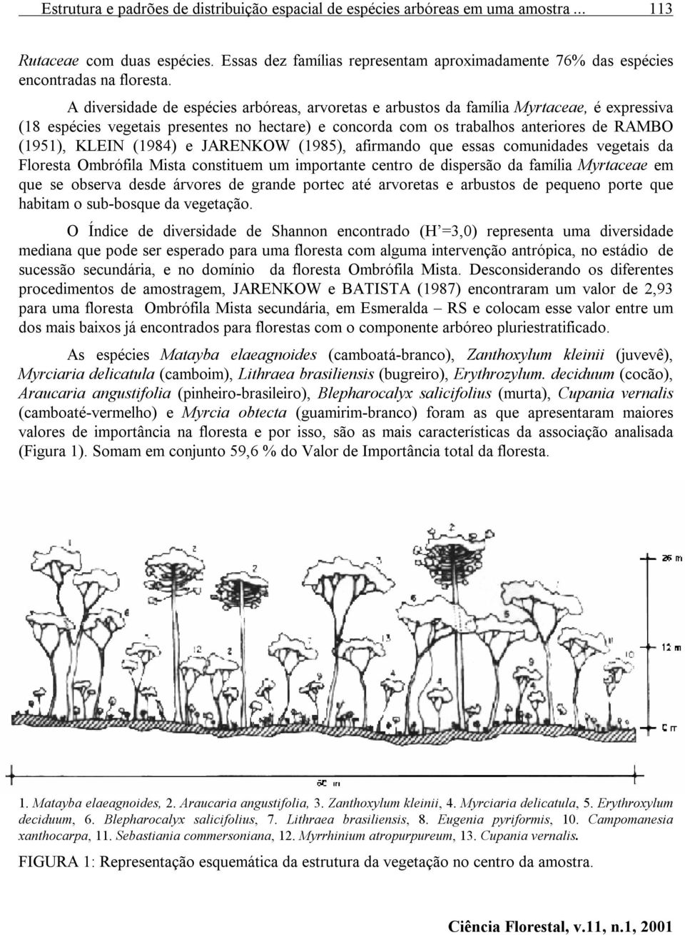 A diversidade de espécies arbóreas, arvoretas e arbustos da família Myrtaceae, é expressiva (18 espécies vegetais presentes no hectare) e concorda com os trabalhos anteriores de RAMBO (1951), KLEIN