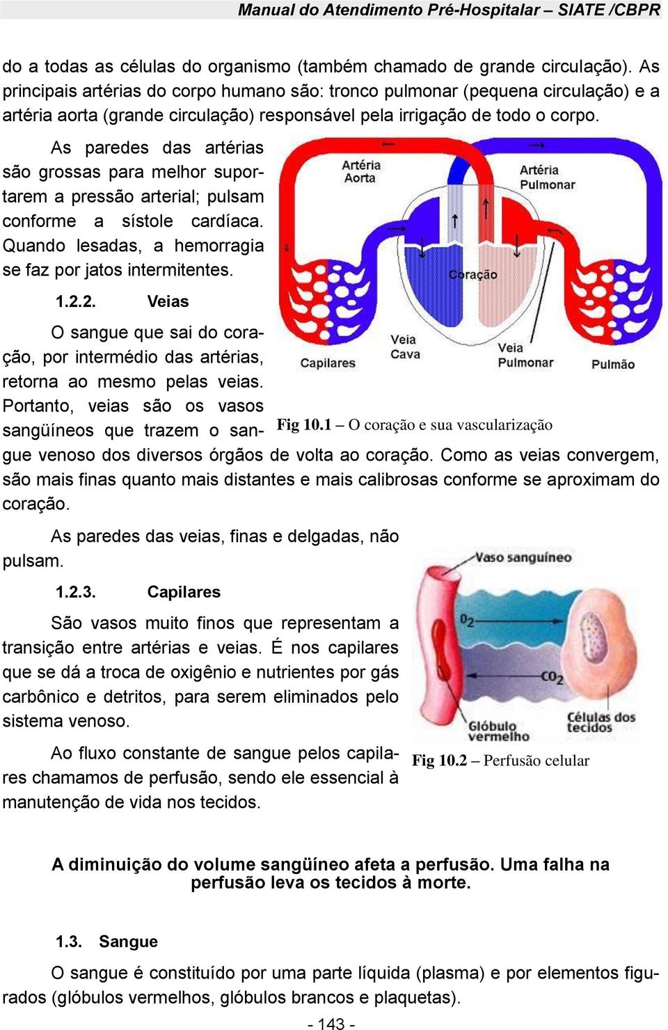 As paredes das artérias são grossas para melhor suportarem a pressão arterial; pulsam conforme a sístole cardíaca. Quando lesadas, a hemorragia se faz por jatos intermitentes. 1.2.