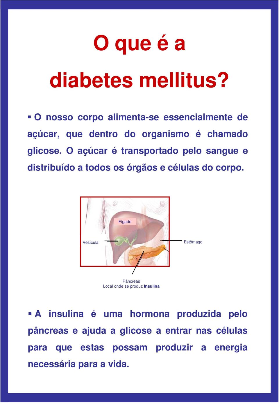 O açúcar é transportado pelo sangue e distribuído a todos os órgãos e células do corpo.