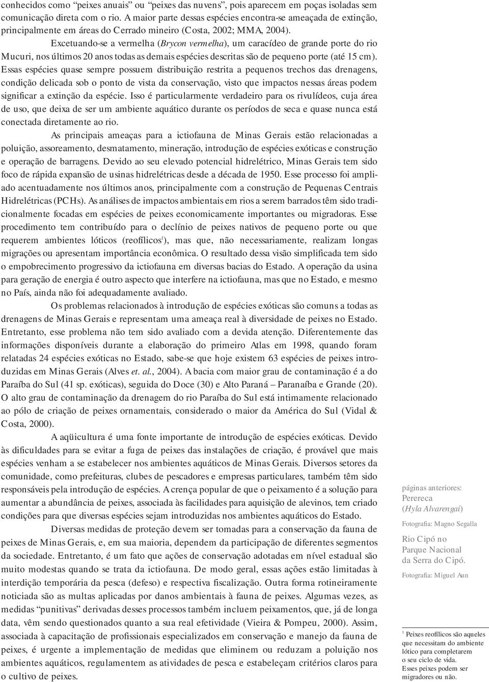 Excetuando-se a vermelha (Brycon vermelha), um caracídeo de grande porte do rio Mucuri, nos últimos 20 anos todas as demais espécies descritas são de pequeno porte (até 15 cm).