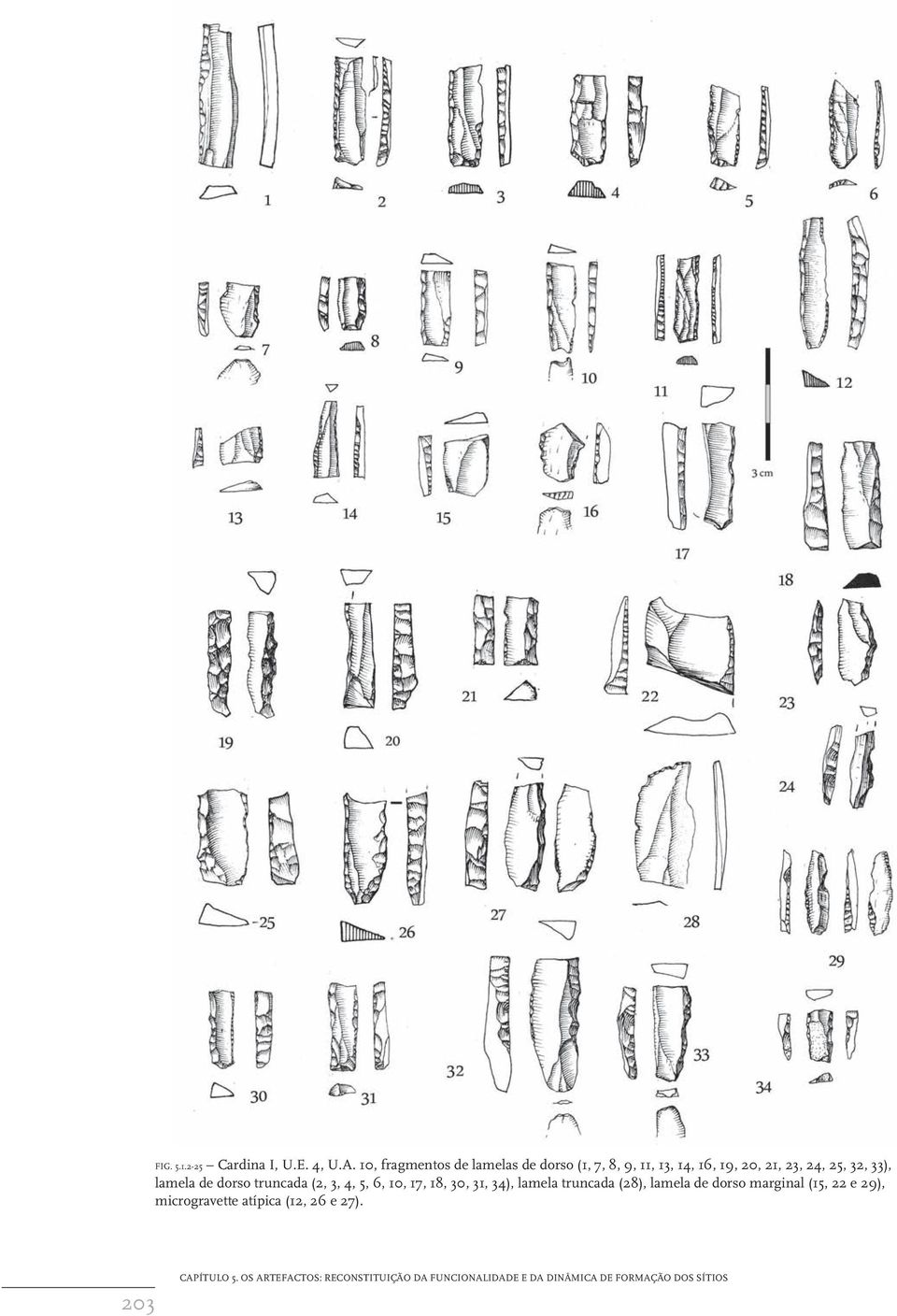 lamela de dorso truncada (2, 3, 4, 5, 6, 10, 17, 18, 30, 31, 34), lamela truncada (28), lamela de
