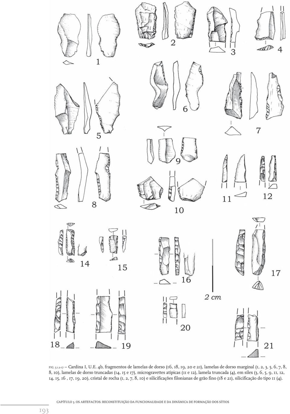 dorso truncadas (14, 15 e 17), microgravettes atípicas (11 e 12), lamela truncada (4), em sílex (3, 6, 5, 9, 11, 12, 14, 15, 16,