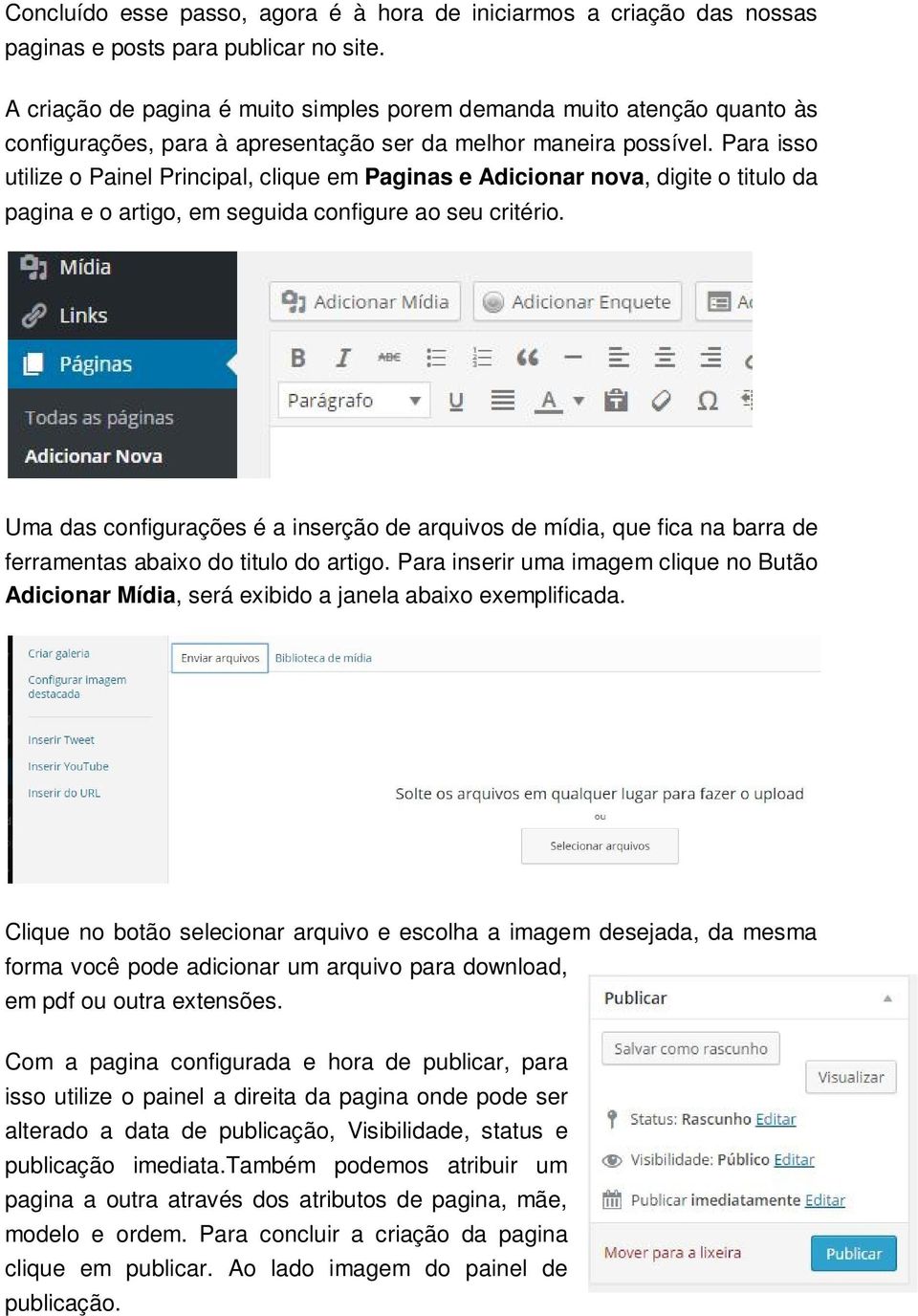 Para isso utilize o Painel Principal, clique em Paginas e Adicionar nova, digite o titulo da pagina e o artigo, em seguida configure ao seu critério.