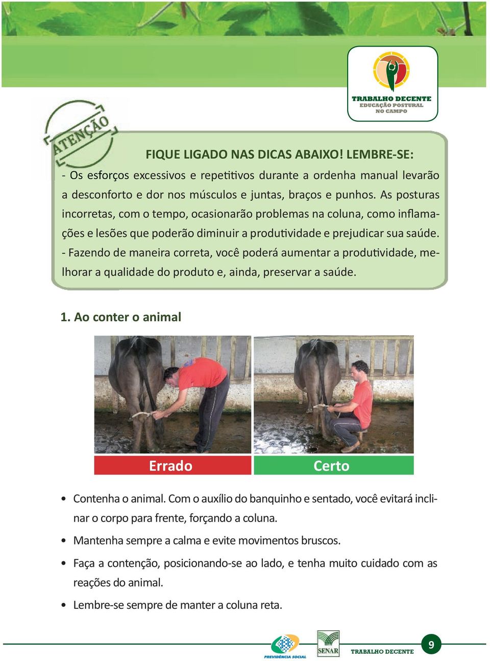 - Fazendo de maneira correta, você poderá aumentar a produtividade, melhorar a qualidade do produto e, ainda, preservar a saúde. 1. Ao conter o animal Errado Certo Contenha o animal.