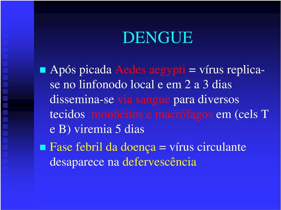 diversos tecidos monócitos e macrófagos em (cels T e B) viremia