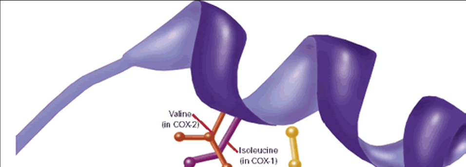 Acetilsalicílico ESTRUTURAS COX-1