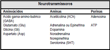 Transmissores sinápticos Os transmissores sinápticos podem ser divididos em dois grupos: Neurotransmissores; Neuromoduladores.