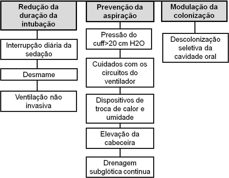 Brasileiras para Tratamento das Pneumonias Adquiridas no Hospital e das Associadas à Ventilação Mecânica 2007).