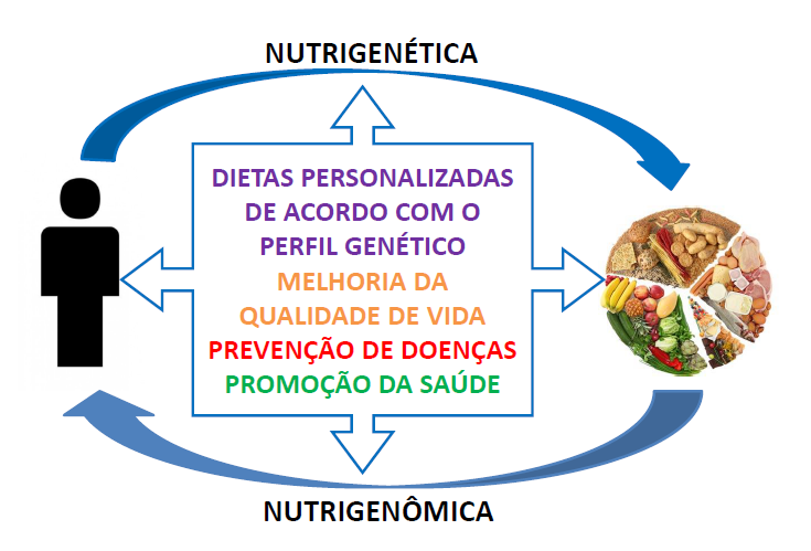 Nutrigenômica x