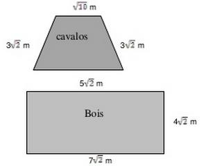 (A) 200 cm2 (B) 3 500 cm2 (C) 2 000 cm2 (D) 2 400 cm2 06) Um fazendeiro var cercar duas áreas de sua fazenda