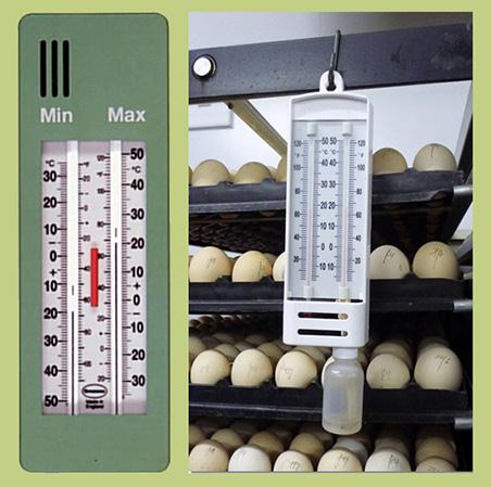 Armazenamento dos Ovos Férteis Resfriamento: O resfriamento deve ser de forma lenta e gradual, de 41 C para 23 C com duração entre 6