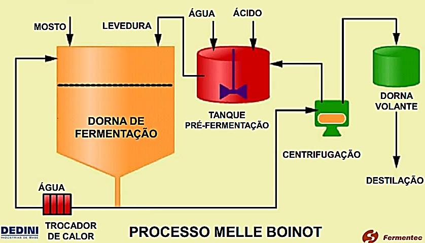 ETAPA DE FERMENTAÇÃO: Batelada Vinho