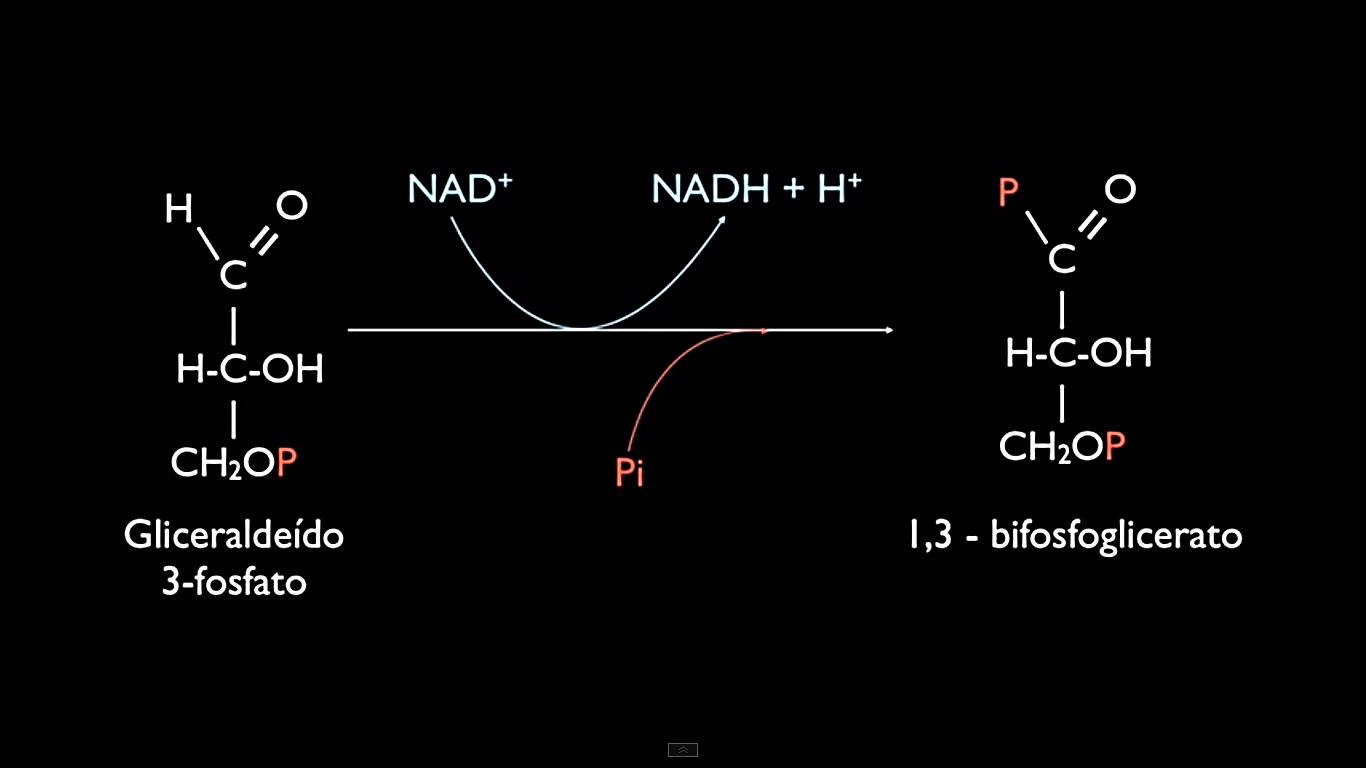 1,3-bifosfoglicerato 2