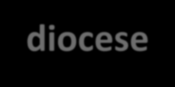 COMUNICAÇÃO ENTRE PASCOMS Grupos para coordenadores e vice-coordenadores paroquiais: Grupo de e-mail: pascomtx@googlegroups.