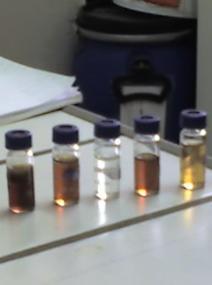 4. Discussão dos Resultados Figura 4.11: Exemplo de compostos presentes no líquido extraído do sólido e respetivas concentrações. Figura 4.12: Exemplo das amostras da extração dos sólidos com DCM.
