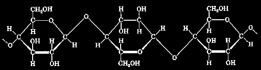 2. Introdução Figura 2.8: Oligómero de glucose Hemicelulose: é outro polissacárido natural.
