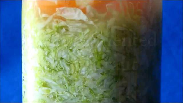35 sauerkraut flora natural das couves fermentação anaeróbia, com teores elevados