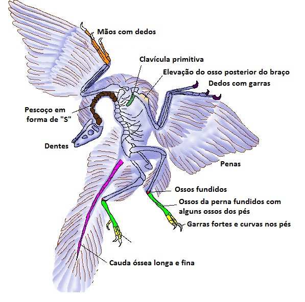 5.2. Ausência de formas