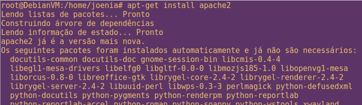 3.6 APACHE O servidor Apache é o servidor web livre. Foi criado em 1995 por Rob McCool, então funcionário do NCSA (National Center for Supercomputing Applications).