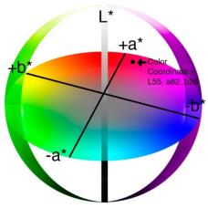 Modelo de cor Lab (Hunter-1948) É baseado na percepção humana de cor As entradas a partir dos 3 cones (S, M, L) são somadas e subtraídas juntas para criar 3 sinais Brightness redness vs greenness
