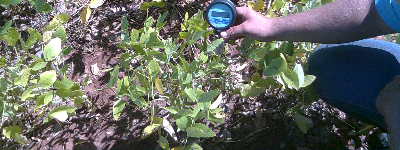 CONTROLE DA IRRIGAÇÃO POR MEDIDAS DO POTENCIAL MÁTRICO DO