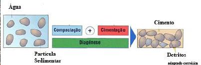 Rochas Sedimentares DIAGÉNESE OU LITIFICAÇÃO COMPACTAÇÃO ou compacção Devido à compressão pelas camadas superiores, o